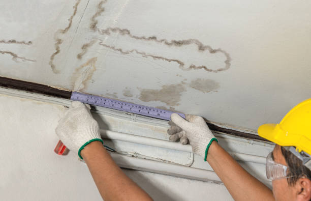 Affordable Water Damage Repair solutions in Lynchburg, MS
